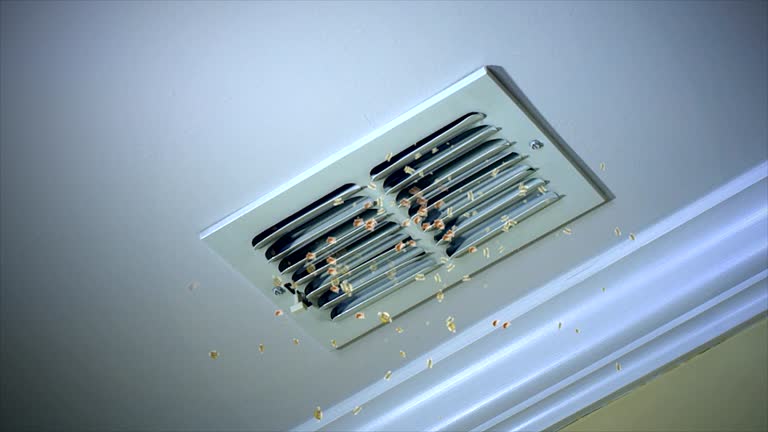 Best Affordable Air Duct Cleaning  in Franklin Farm, VA